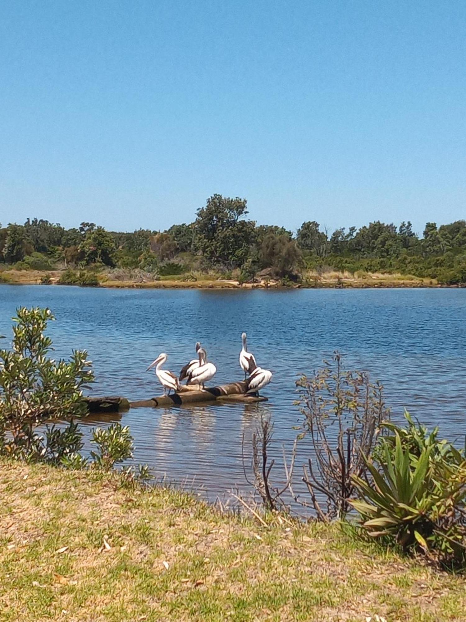 Lakes Entrance Waterfront Cottages With King Beds Luaran gambar