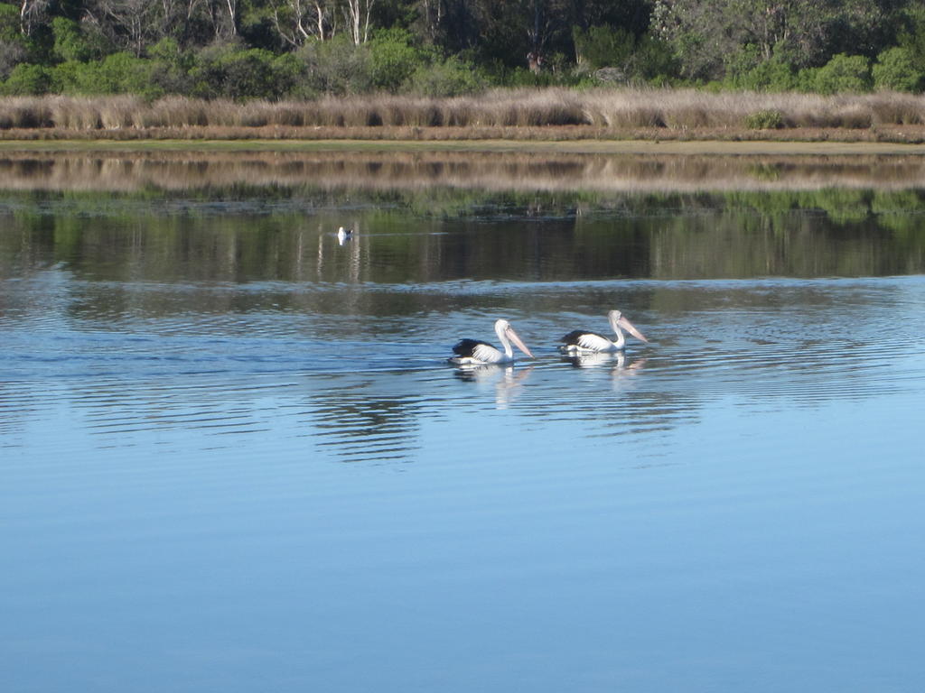 Lakes Entrance Waterfront Cottages With King Beds Luaran gambar